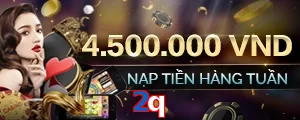 2q